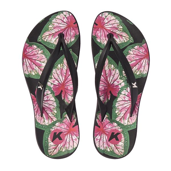 Ibiza Caladium
